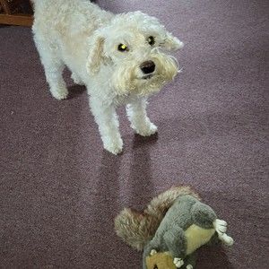 Meet your Posher, Dorlene